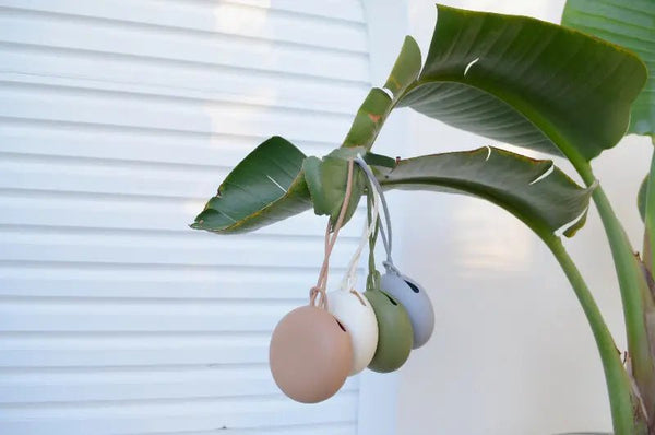 100% food grade Silicone Dummy / Pacifier Holder Compass & Cradle