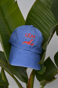 Black Friday Bundle | Cray Cray on Vacay | Bag + Cap + Kids Set - Compass & Cradle