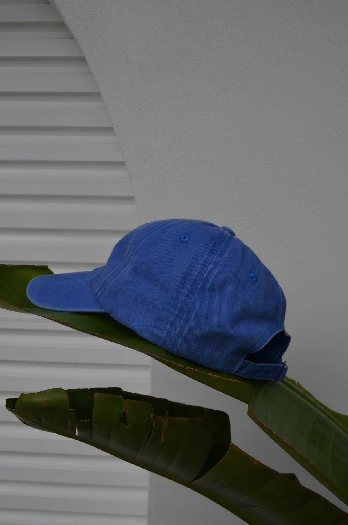 blue mum cap from compass and cradle
